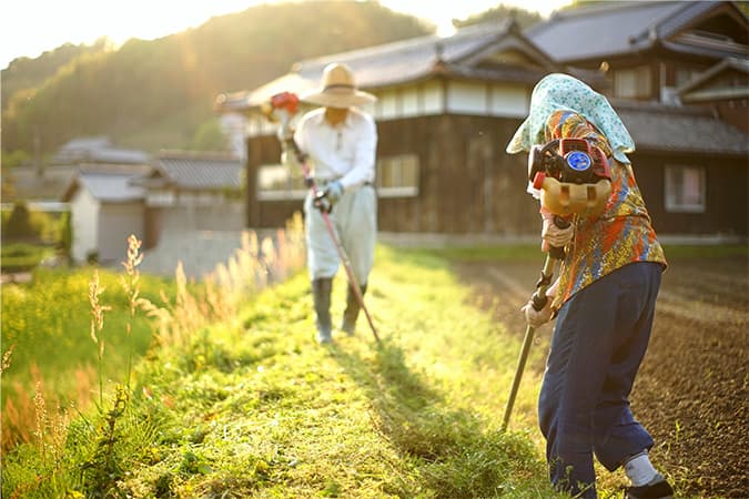 貸出希望農地を公表しています。